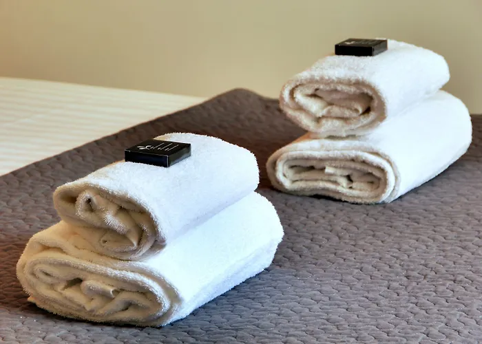 Short Group Museum View Serviced 3* Paris